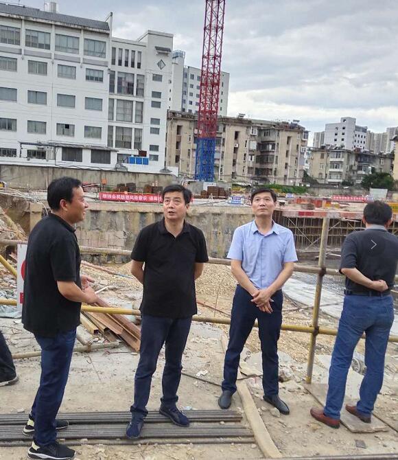 區(qū)委副書記、區(qū)長楊林調研重點項目