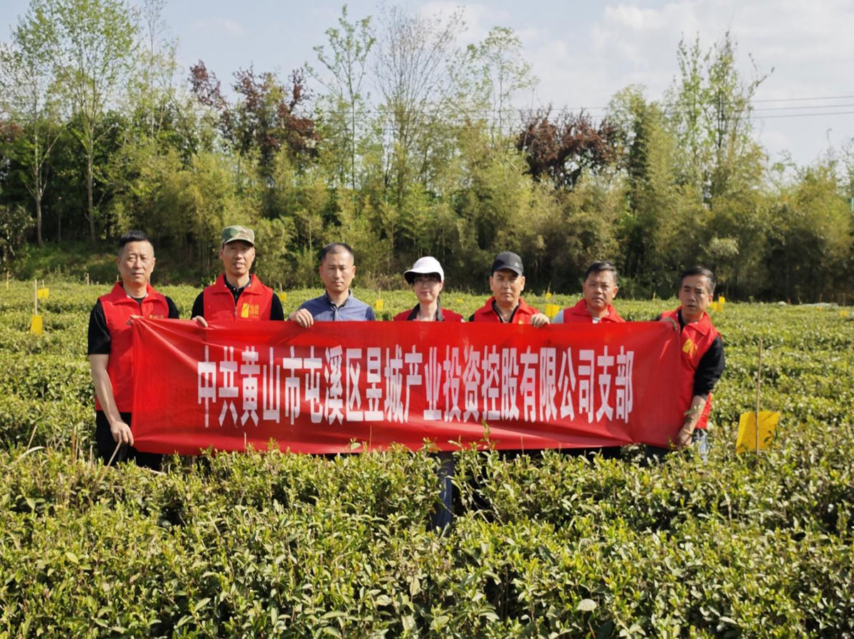 昱城產(chǎn)投公司黨支部開展“茶香潤初心，黨旗映茶園”主題黨日活動
