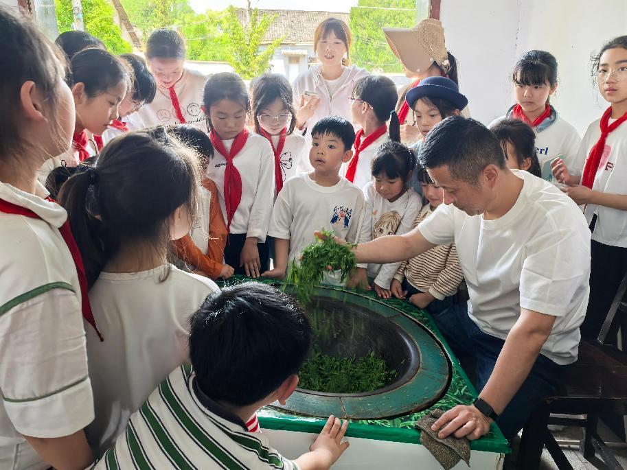 區(qū)關(guān)工委組織學(xué)生到實(shí)驗茶場開展茶文化主題實(shí)踐活動