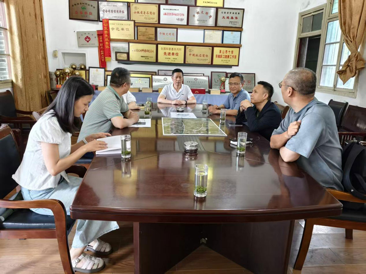 江蘇外聯(lián)采考察團(tuán)到實(shí)驗(yàn)茶場(chǎng)考察，共商茶產(chǎn)業(yè)合作新藍(lán)圖