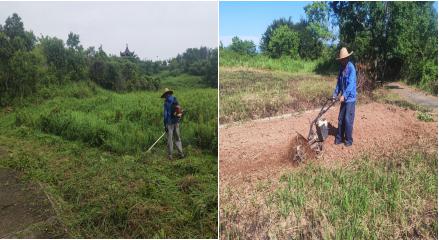 荒地復(fù)墾煥新顏  撂荒整改顯成效