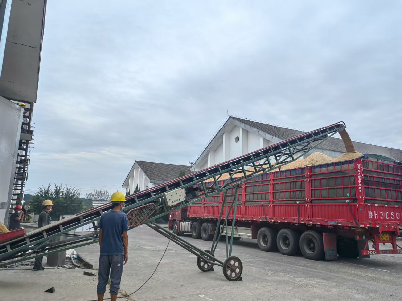 筑牢倉儲“安全線” 夯實輪換“基礎(chǔ)樁”——區(qū)國投集團扎實守好糧食安全關(guān)