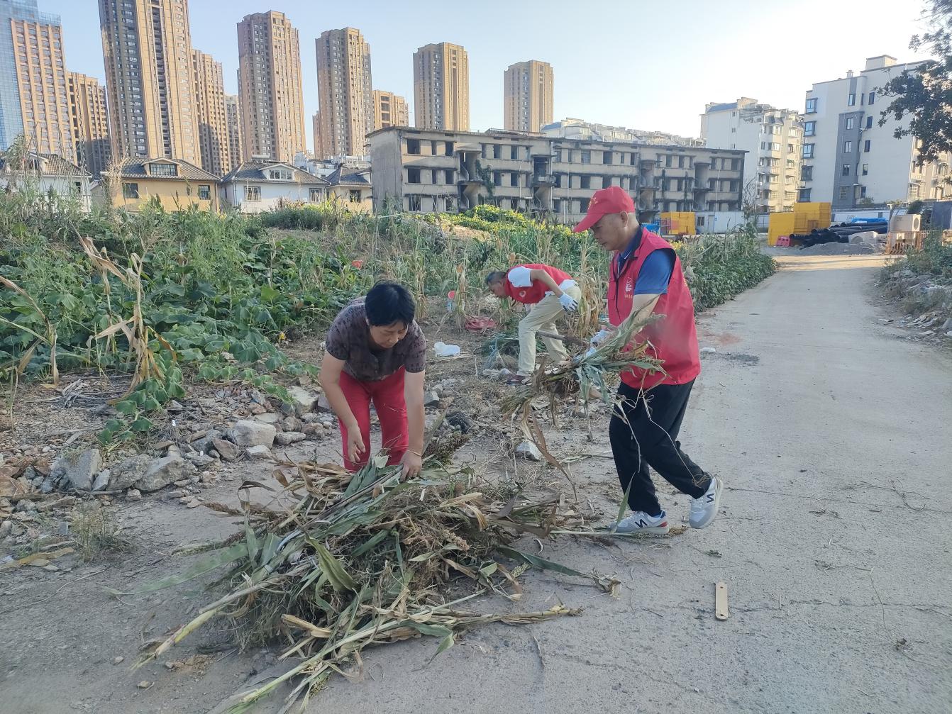 黨員進(jìn)社區(qū)：守護(hù)綠色家園，彰顯國企擔(dān)當(dāng)