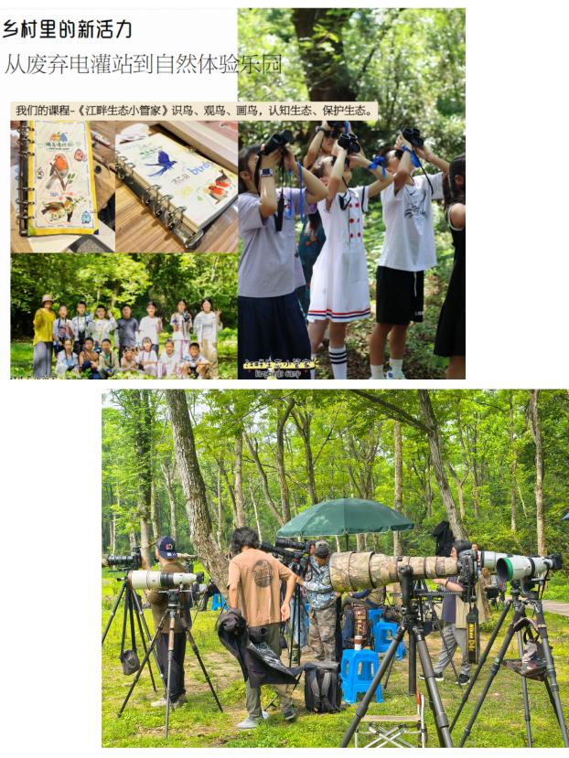 8000萬熱度炸屏！屯溪“護村小祖宗”聯(lián)動短劇頂級頭部平臺帶火綬帶鳥，短劇+文旅解鎖鄉(xiāng)村振興新密碼