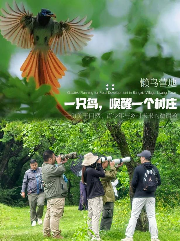 8000萬(wàn)熱度炸屏！屯溪“護(hù)村小祖宗”聯(lián)動(dòng)短劇頂級(jí)頭部平臺(tái)帶火綬帶鳥(niǎo)，短劇+文